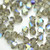 Preciosa 4mm Bicone Machine Cut Crystal Black Diamond AB (24 Beads)