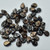 5x7mm Pip Jet Light Copper Tweedy Czech Glass, 25 Beads