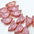 11x22 mm Bird - 2 Beads - Matte Orange with Pink Wash - Czech Glass