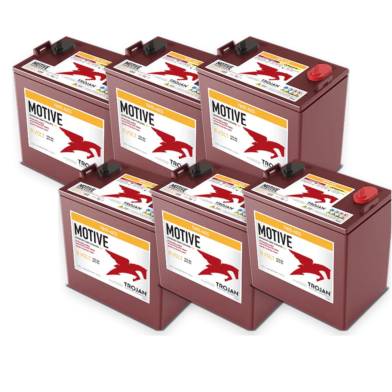 Evergreen Transport 2 2 48V Complete Battery Pack – T875-AES, 6 Batteries — Trojan T875-AES 6-battery 48V complete battery pack