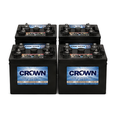 NSS Enterprises (owned by Taski) Charger 2022 ABLT 24V Complete Battery Pack – 6CRV220, 4 Batteries