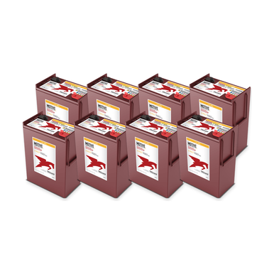 JLG Industries Inc. M400AJPN 48V Complete Battery Pack – L16-AES, 8 Batteries