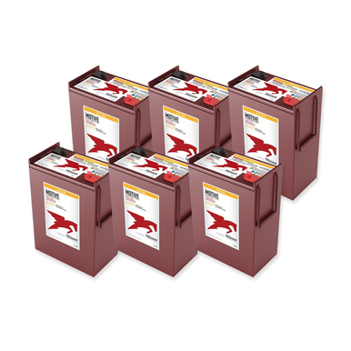 Hillyard Industries, Inc. R36SS Plus 36V Complete Battery Pack – J305-AES, 6 Batteries