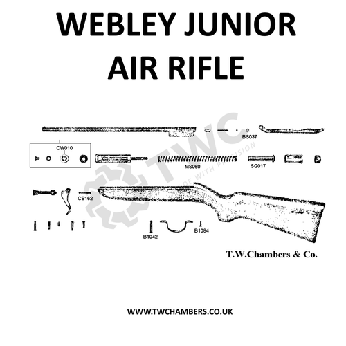 Junior Air Rifle