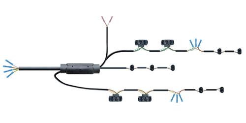Complete Rear Double Light Wire Harness