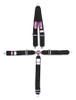 5 PT Harness System Q/R BK Roll Bar 3inSub RJS1030101