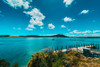 NEW ZEALAND 2025