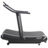 Assault Fitness Assault Air Runner Pro