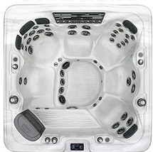 Dynasty Spas Symphony hot tub cover