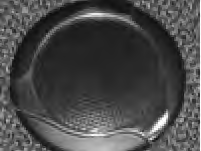 12879-Stereo, Tweeter, 2, Dome, Custom Cover, SS Grill