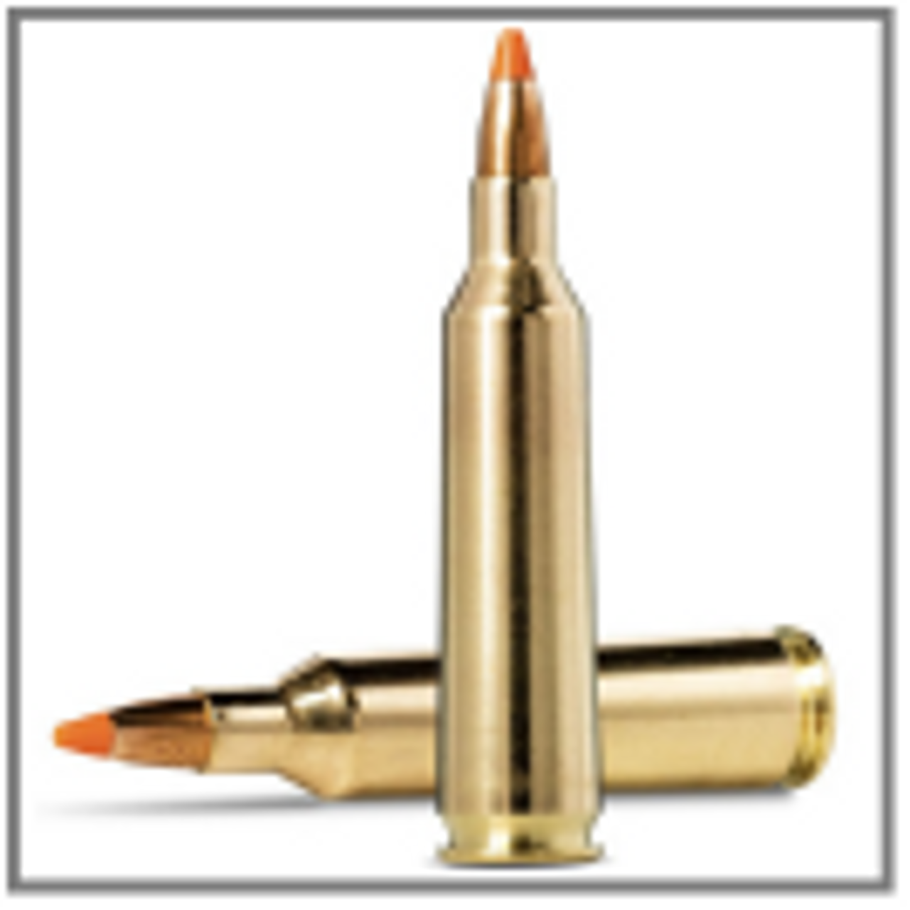 .22-250 Caliber