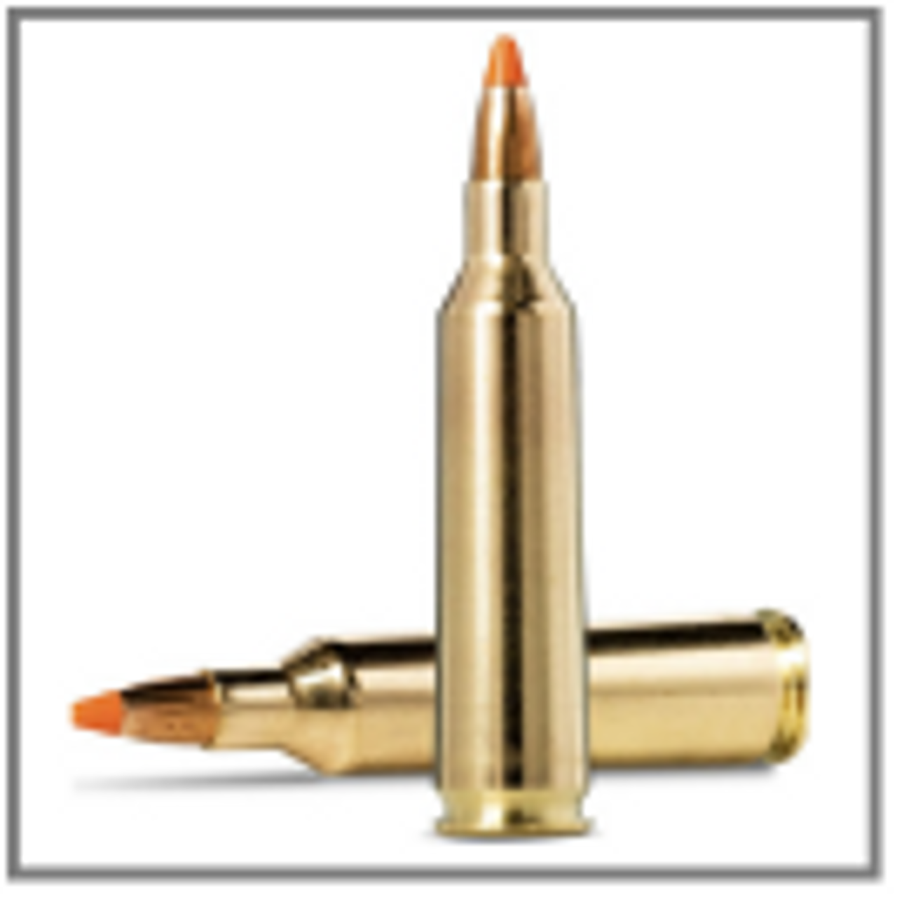 22-250 Caliber