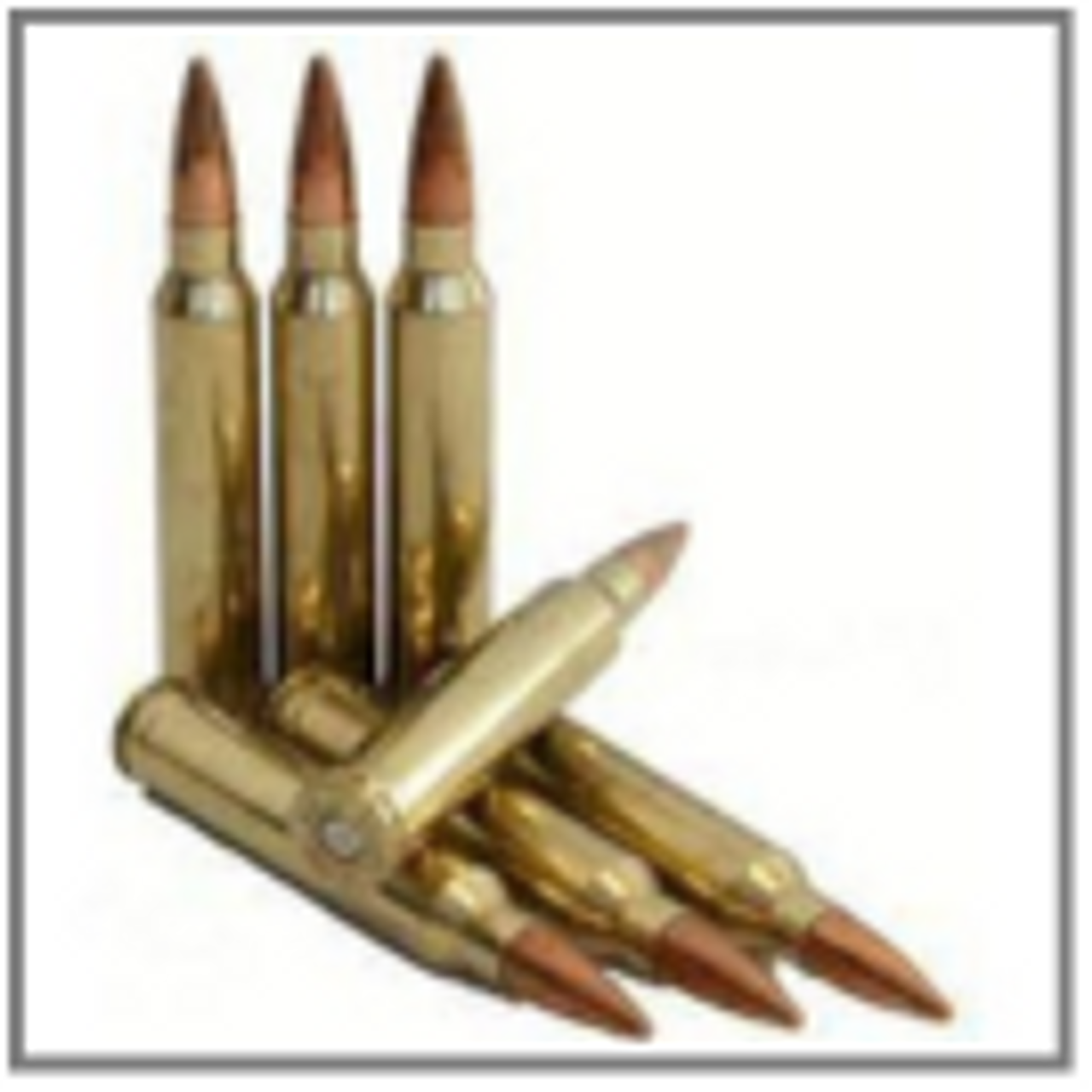 .300 WIN Caliber