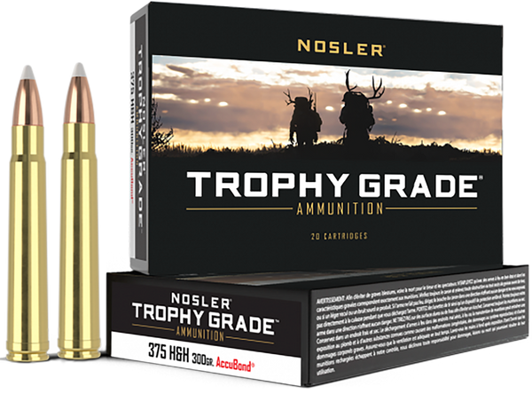 Nosler Trophy Grade, Nos 60070 Trophy 375hh    300 Ab             20/10