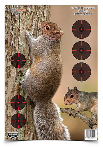 Birchwood Casey Darkotic Target 12x18 in. 8 pk - Freedom Armory