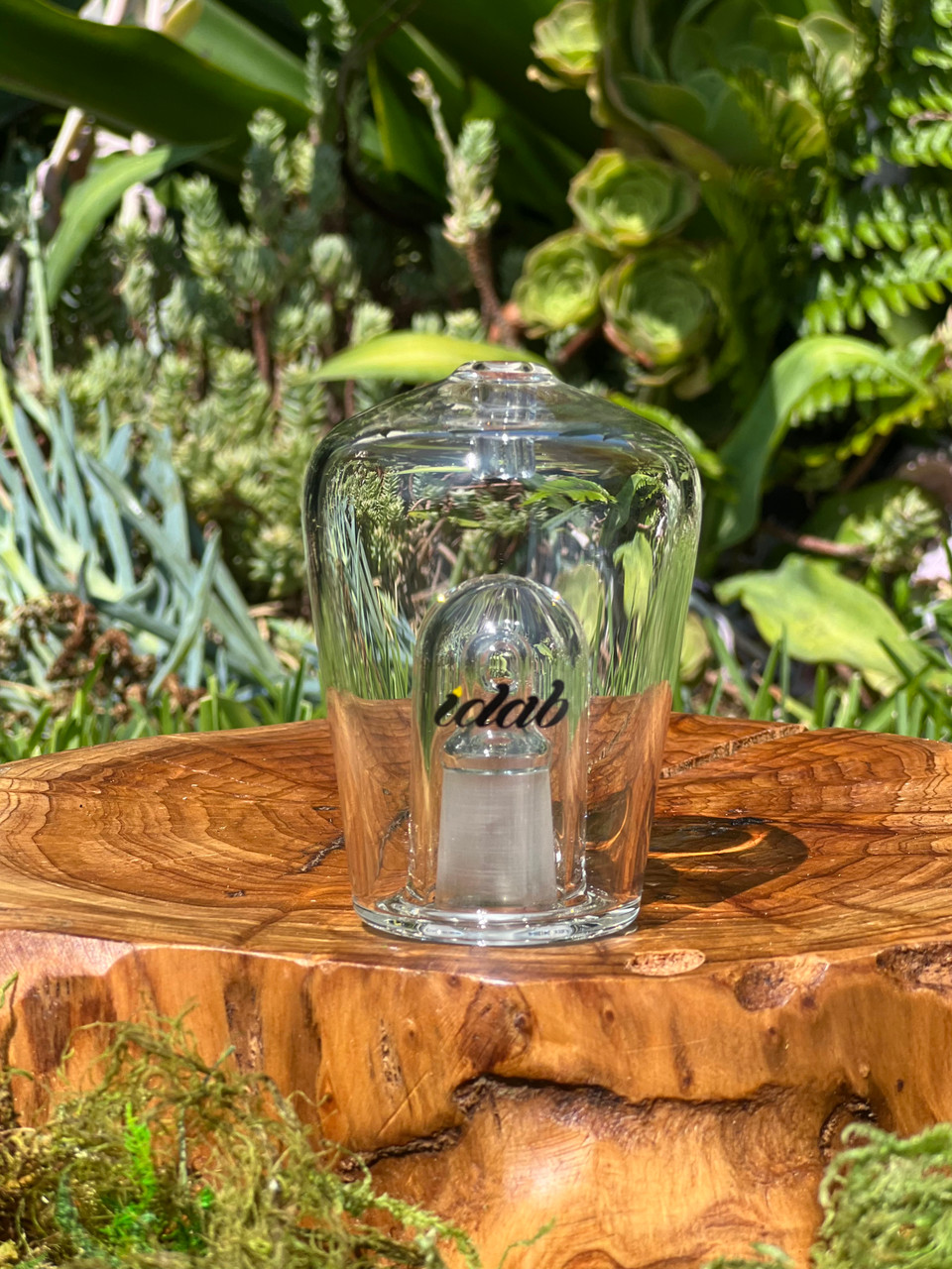 iDab HUNI BADGER Dapple- Clear