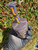 iDab Peak Bottle Top- Worked