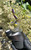 iDab Dry Sherlock Peak Attachment- Worked