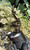 iDab Dry Sherlock Peak Attachment- Worked