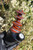 iDab Temple Dry Top - Peak Attachment Worked