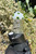 iDab FunGuy Peak Attachment