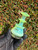 iDab Dry Temple Peak Top