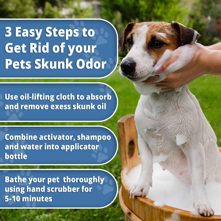 Best skunk odor deals remover for dogs