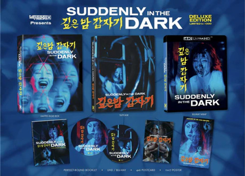 Suddenly in the Dark (LE Deluxe 2-Disc 4K UHD) TERROR VISION Suddenly in the Dark (LE Deluxe 2-Disc 4K UHD) TERROR VISION