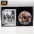 (PRE-ORDER) Pavements (4K UHD + Blu-ray w/ LE Variant Slip) (UTOPIA) *One Per Customer