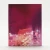Some Nights I Feel Like Walking (Blu-ray w/ LE Slip) (FILM MOVEMENT) *One Per Customer