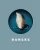 Michael Haneke Collection (Blu-ray Box Set) (Region Free) (UMBRELLA)