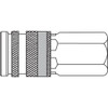 bc080b.jpg