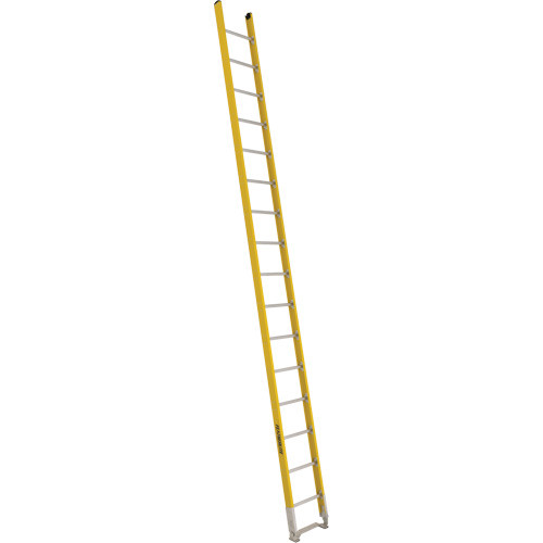 mf384.jpg