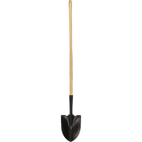 nd063.jpg