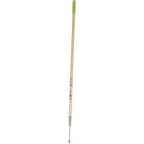 nd049.jpg