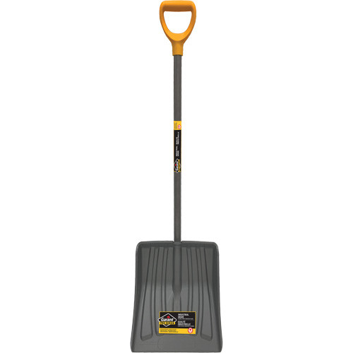 ne314.jpg