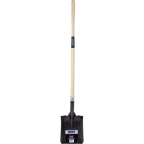 nn238.jpg