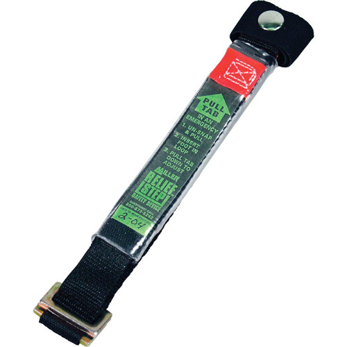 sak162.jpg
