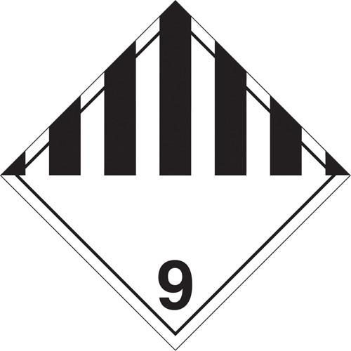 sj419.jpg
