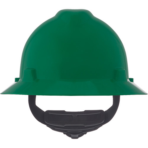 sdl497.jpg