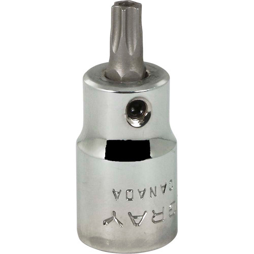 tyr226.jpg