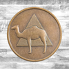 Alcoholics Anonymous AA Camel Affirmation Coin - Bronze Sobriety Medallion