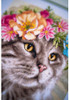 LanArte Flower Crown Maine Coon 27ct. Counted Cross Stitch Kit