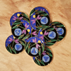 AA Dragonfly Sobriety Anniversary Coin