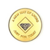 NA Bi-Plate Token Coin Medallion