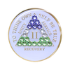AA Genderqueer Flag White Crystal Sobriety Anniversary Coin