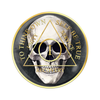 AA Skull Sobriety Anniversary Coin
