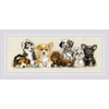 RIOLIS Counted Cross Stitch Kit | Puppies