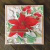 Lisa Horton Crafts 3D Embossing Folder | Bold Poinsettia Bloom