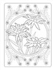 Dover Creative Haven Flowers of the World Coloring Book